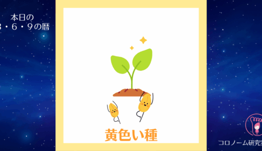 【今日のマヤ暦】KIN44／25.5.7
